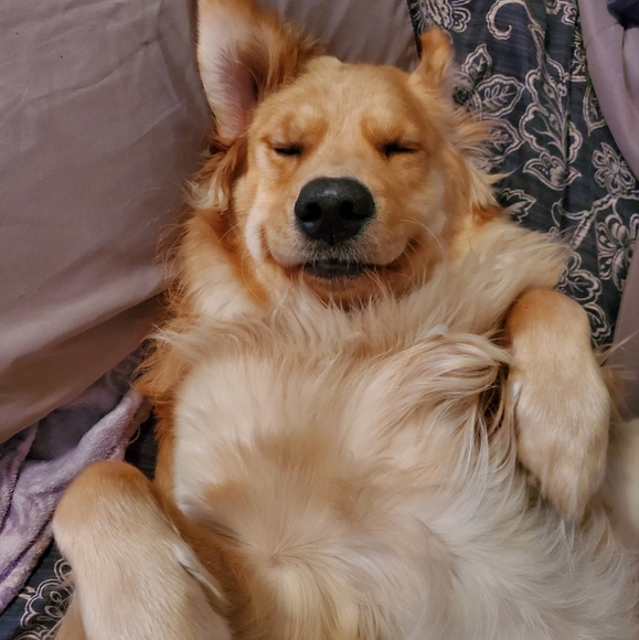 Meet your Posher, Rebecca - Picture 7 of 7